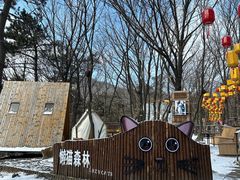 -沂蒙山旅游区云蒙景区(蒙山国家森林公园)