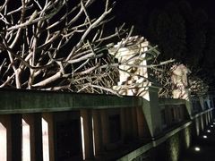 -厦门日月谷温泉渡假村