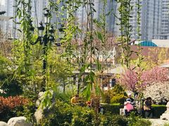 -西安青龙寺遗址景区