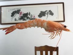 -蚝乡农庄(铁涌赤岸店)