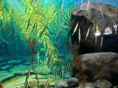 -上海海洋水族馆