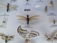 -舟山博物馆