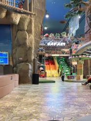 -卡通尼·Safari非洲探索乐园·生日会(金桥国际商业广场店)