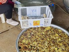 -双喜农庄·菌香园(安居家园店)