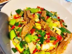 鸭掌筋-壹盏灯(蚂蚁工房店)