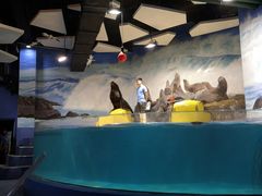 -梦幻海洋王国(吾悦广场张家港店)