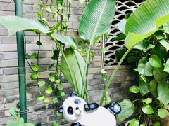 -熊猫屋(宽窄巷子景区店)