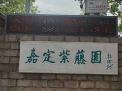 -嘉定紫藤园