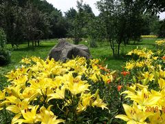 -黑龙江省森林植物园