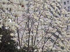 -陆家浜路(地铁站)