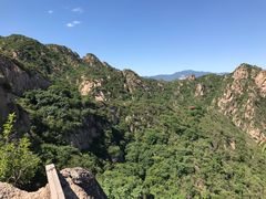 -大岭沟猕猴桃谷风景区