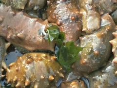 -广鹿岛