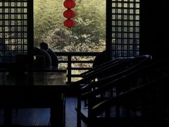 -大唐贡茶院