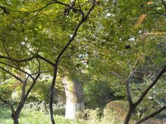 -浙江西子宾馆·瑶园咖啡厅