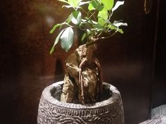 -南堂館川菜文化餐厅(天府店)