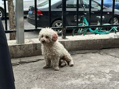 -亲贤打卤面(八一街店)