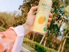 -昆山城市生态森林公园