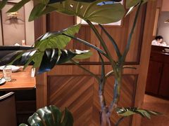 -大树餐厅(益田假日店)