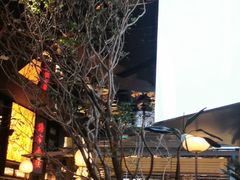 -桂满陇·海市蜃楼·黑金(国金店)