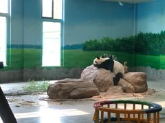 -临沂动植物园