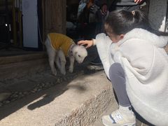 -阿婆情腊排骨火锅(金虹路店)
