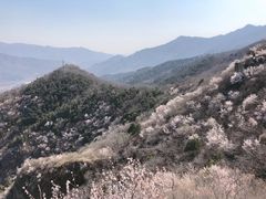 -北京鹫峰国家森林公园