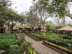 -苏记溪河鲢鱼庄(天府新区店)