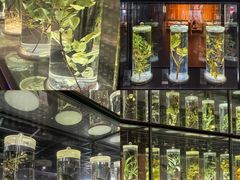 -广东中医药博物馆