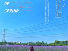 -紫颐香薰山谷景区