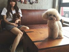 android_upload_pic-百好乐宠物友好餐厅(朝外大街店)