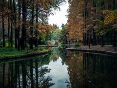 -上海共青森林公园