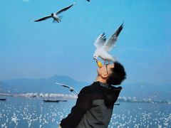 -滇池海埂公园