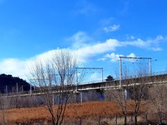 -永定河休闲森林公园