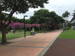 -布里斯班南岸公园