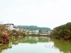 -铁山坪森林公园