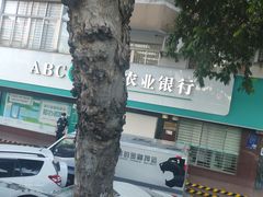-中国农业银行(深圳西丽支行)