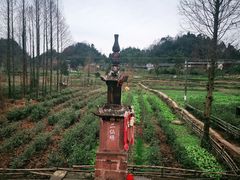 -雅安上里古镇