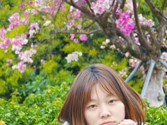 -东莞植物园