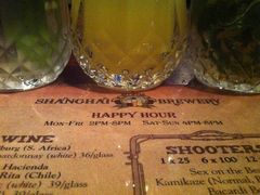 -Shanghai Brew House上海啤酒工坊(老外街店)