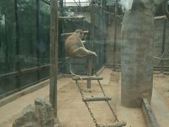 android_upload_pic-石家庄市动物园