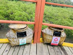 -北海金海湾红树林生态旅游区