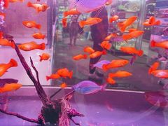 -三旗百汇商品城