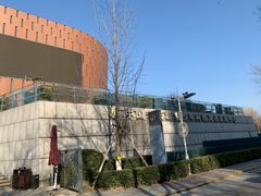 -中国宋庆龄青少年科技文化交流中心