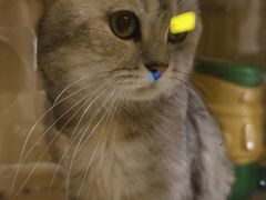 -樹下遇见树·咖啡