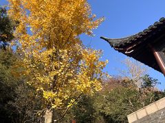 -狼山风景名胜区