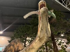 -湖南省地质博物馆