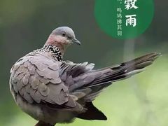 -禾田餐厅•乡野湖北菜(徐东店)
