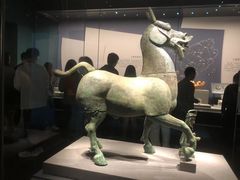 -广西壮族自治区博物馆