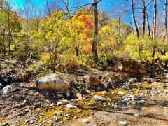 -玉渡山自然风景区