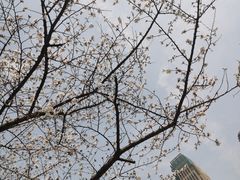 -西北湖绿化广场